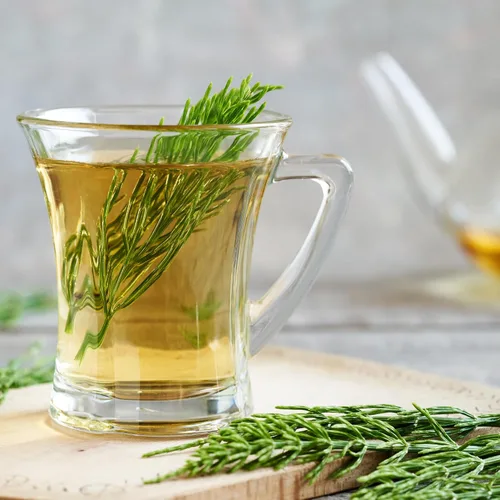 Vista 4 de Alpi Nature Hierba de cola de caballo 4.4 oz 4.41 oz, hierba seca de cola de caballo para la preparación del té, té de hierbas sueltas
