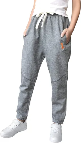 Vista 4 de Fruitsunchen Pantalones deportivos de dinosaurio para niños pequeños (paquete de 1, 2 unidades)