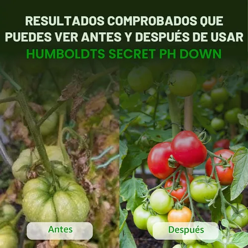 Vista 6 de Humboldts Secret pH Down para Plantas Ajustador y Equilibrador de pH Líquido para Suelo, Coco, Hidroponía Solución Concentrada de Ácido