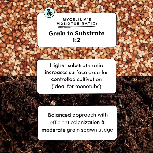Vista 4 de Mycelium Kit de cultivo de hongos Plus I Sustrato CVG (fibra de coco, vermiculita, yeso) Mezcla patentada para cultivo de alto rendimiento, bolsa