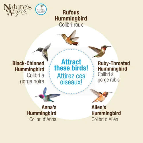 Vista 5 de Nature's Way Bird Products DGHF2 - Comedero decorativo de cristal para colibríes con peonía