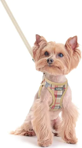 Vista 191 de rabbitgoo Arnés para perro de tamaño pequeño y juego de correa, chaleco Cachorros de manzana