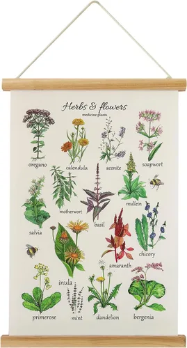 Vista 12 de XIAOAIKA Póster de hierbas aromáticas para pared, impresiones artísticas HD vibrantes y coloridas, estilo rústico de hierbas, póster para colgar