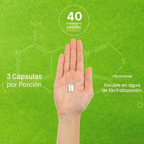 Vista 5 de Citicolina CDP Colina, 1,000mg por porción, 120 cápsulas – Suplementos de colina de fuerza extra – Propiedades de vitamina B nootrópica – Promueve