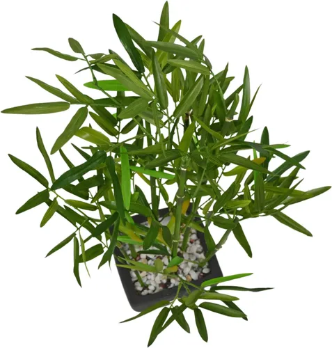 Vista 7 de Westcharm Bambú artificial en maceta de poliresina negra con piedras decorativas de río para el hogar, oficina, cocina, sala de estar, encimera