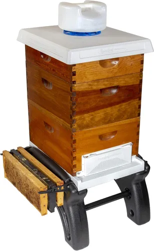 Vista 3 de Soporte Ultimate Hive para apicultores (8 marcos y colmena de flujo) de Farmstand Supply