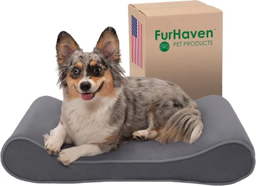 Vista 18 de Furhaven Acogedora cama ortopédica para perros medianos y pequeños con cojines extraíbles y funda lavable, para perros de hasta 35 libras - Sofá