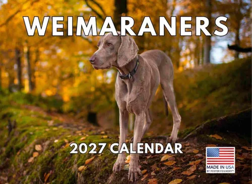 Vista 114 de Calendario mensual de pared Airedale Terrier Dog 2027