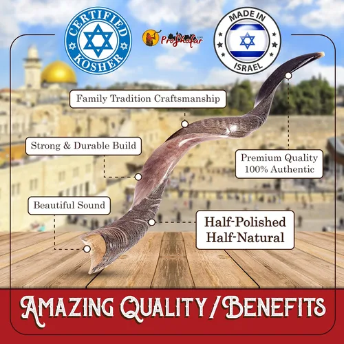 Vista 5 de Juego de Shofar Kudu medio pulido Kosher de Israel, más bolsa, certificado oficialmente firmado, cuerno de Shofar Kosher hecho en Israel