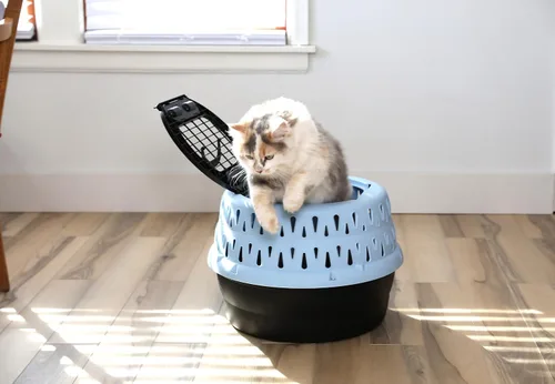 Vista 4 de Petmate Get-A-Round - Perrera para gatos, hasta 20 libras, azul, 19 pulgadas de ancho