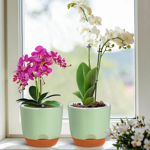 Vista 7 de QCQHDU Macetas de orquídeas de 5.7 pulgadas con agujeros para trasplantar, macetas de plástico de doble capa con riego automático para plantas