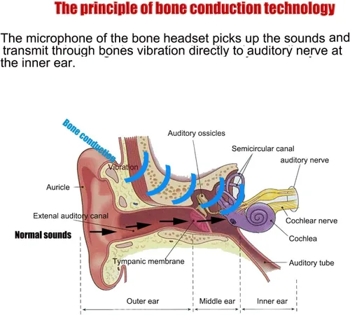 Vista 6 de Auriculares inteligentes de conducción ósea para comunicación diaria con micrófono de captación de sonido HD
