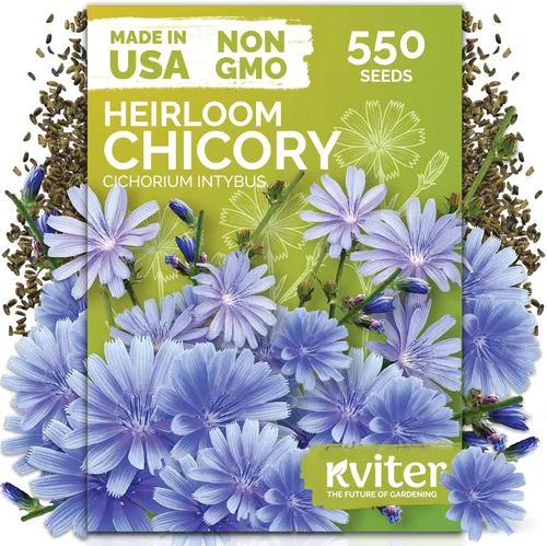 Vista 13 de KVITER 3000 semillas de espinaca egipcias - Molokhia (Corchorus Olitorius) - Hojas de yute, Ewedu, Día de Rau, Semillas de vegetales Saluyot