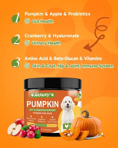 Vista 3 de Calabaza para perros – Polvo de calabaza orgánica para perros – Apoyo diario para la digestión, diarrea, estreñimiento, malestar estomacal