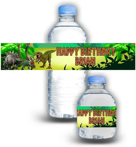Vista 8 de Calcomanías impermeables para botellas de agua para niños, personalizables, paquete de 12 (coches)