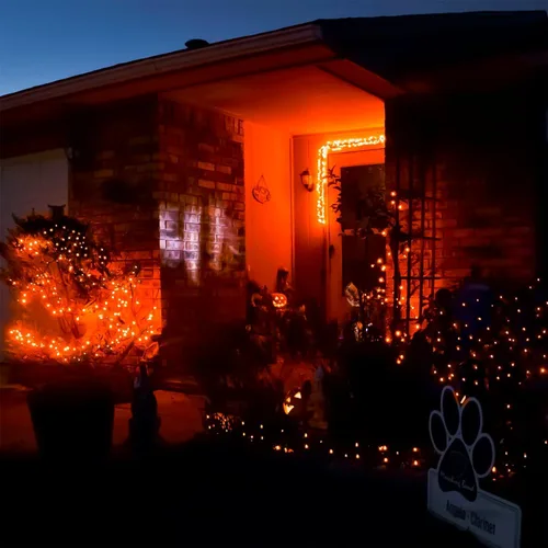Vista 5 de RUICHEN Guirnalda de 50 luces LED de alambre de cobre de 16 pies, funciona con pilas, para Navidad, Halloween, fiestas, bodas, centros de mesa