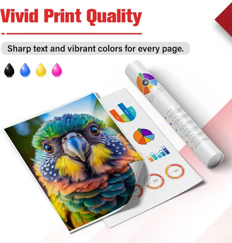 Vista 4 de Paquete combinado de tinta 245XL 246XL 245 y 246 para impresora Canon MG2522 MX490 Reemplazo para Canon Pixma MX492 TS3322 TR4520 TR4500 TS3122