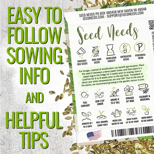 Vista 4 de Seed Needs Semillas de apio para plantar hierbas culinarias tradicionales sin OMG, 2 paquetes