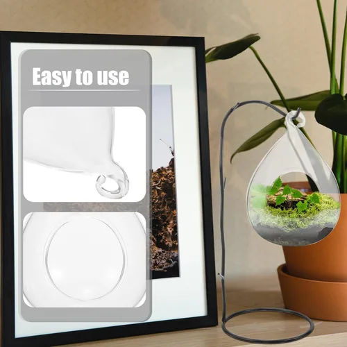 Vista 6 de SEWACC Soporte colgante de vidrio para plantas de aire de terrario para suculentas, maceta redonda de 5.3 in, jarrón de vidrio para decoración
