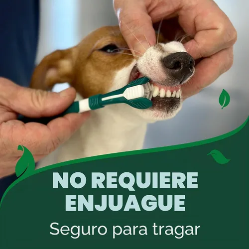 Vista 3 de Vet's Best Gel de pasta dental enzimática para perros, hecha en Estados Unidos.