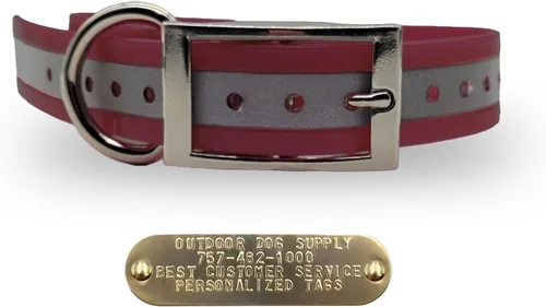 Vista 13 de Outdoor Dog Supply Collar de perro con anillo en D impermeable reflectante resistente de 1 pulgada para perros medianos y grandes con placa