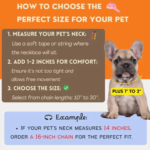 Vista 4 de Collar de cadena con letra inicial cubana para perro, collar de cadena para mascotas, gato, collar para cachorro (S, 25 cm)