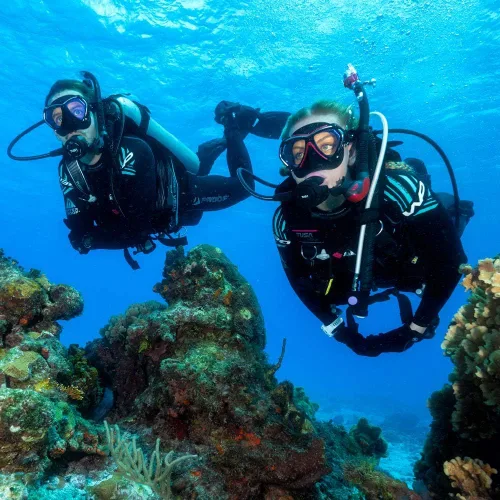 Vista 3 de TUSA SP-0101 Hyperdry Elite II - Tubo de snorkel para buceo Scuba