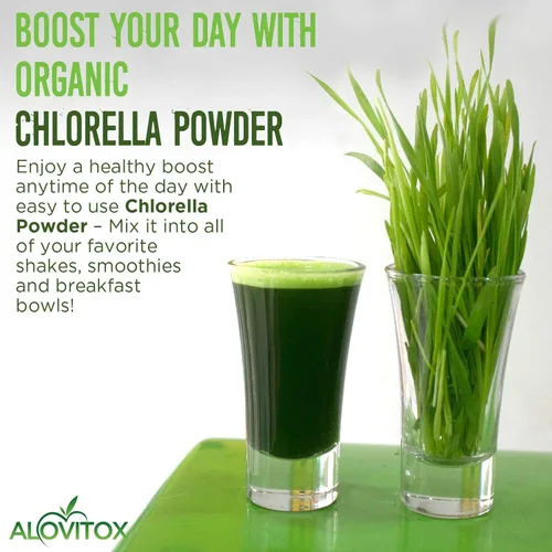 Vista 8 de Alovitox Chlorella orgánica en polvo de 8 onzas Superalimento denso en nutrientes con antioxidantes, proteínas, vitaminas C, E, complejo B
