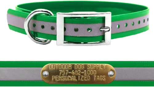 Vista 5 de Outdoor Dog Supply Collar de perro con anillo en D impermeable reflectante resistente de 1 pulgada para perros medianos y grandes con placa