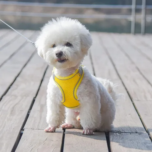Vista 5 de Arnés para cachorros negro con correa, arnés para gatos sin tirones para caminatas fáciles, chaleco reflectante de malla transpirable para mascotas