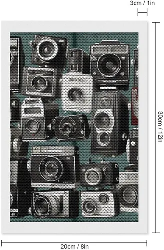 Vista 2 de DWVSFJM Retro Cool Camera Collection Diamond Painting Kits 8"x12", Diamond Painting Kits for Beginners, Round Drill Dots Paintings,Diamond Art Kits