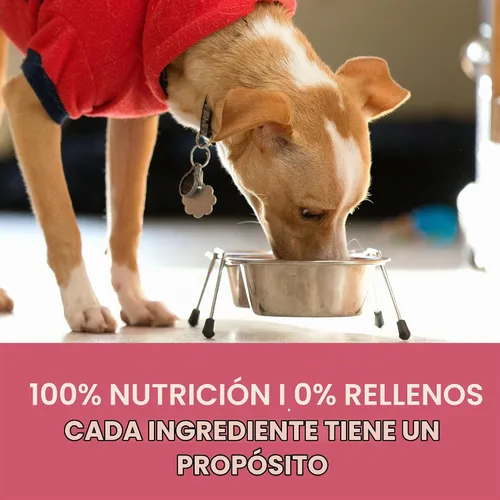 Vista 9 de Purina ONE Plus Skin & Coat - Alimento seco para perros con estómago sensible, bolsa de 8 libras Elaborado con salmón real, con vitamina E