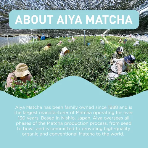 Vista 6 de Aiya Gyokuro orgánico con infusión de matcha Té verde matcha ceremonial orgánico, gyokuro orgánico 10