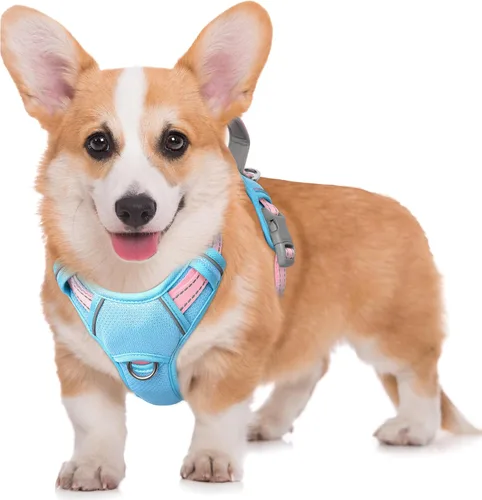 Vista 32 de BARKBAY Arnés para Perro Sin Tirones Talla Grande Arnés Reflectante para Perro con Clip Frontal y Asa de Control Fácil para Caminar Entrenar Correr