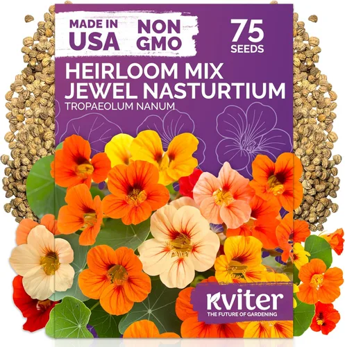 Vista 9 de KVITER 15,000 semillas de rosa musgo mixta para plantar (Portulaca grandiflora) – Cubierta de suelo con floración de reliquia, semilla de Portulaca