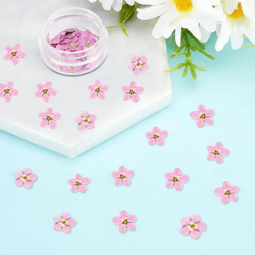 Vista 7 de Timtin - 100 unidades de flores secas naturales Forget Me Not - Prensa seca real, color rosa