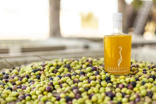 Vista 2 de Calivirgin Aceite de oliva virgen extra premium (botella de repuesto de 1 galón) - Producido orgánica y sostenible en California - Ganador