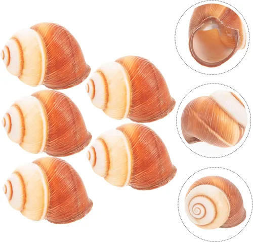 Vista 6 de OUNONA 5 unidades de caracoles naturales para caracoles horneados estilo francés cocinar servir caracol decorativo para platos de mariscos