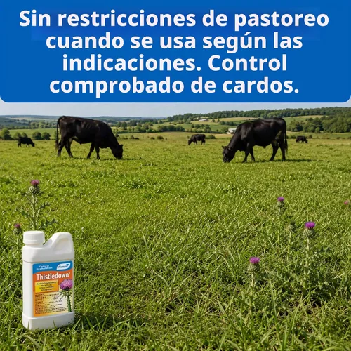 Vista 4 de Monterey Thistledown Concentrado herbicida 8 onzas