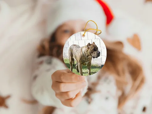 Vista 3 de Perro De Presa Canario - Adorno de cerámica – Decoraciones navideñas – Adorno de cerámica circular de 3 pulgadas