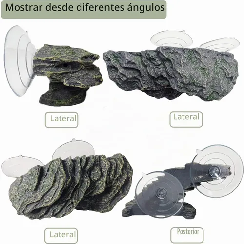 Vista 3 de kathson Plataforma para tomar el sol de tortuga, rampa de escalada de tortugas para bebé, esquisto, reptiles, muelle, terraza, piedra, pequeño
