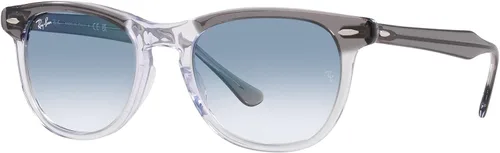 Vista 2 de Ray-Ban RB2398 Eagle Eye Square Gafas de sol
