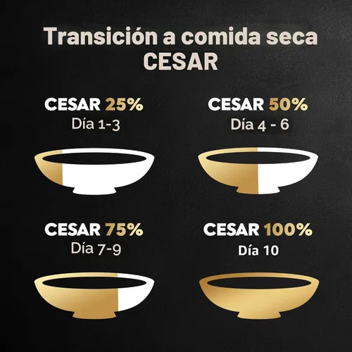 Vista 7 de Cesar Alimento seco para perros de raza pequeña para perros pequeños, sabor a pollo asado y guarnición de verduras de primavera, bolsa de 12 libras