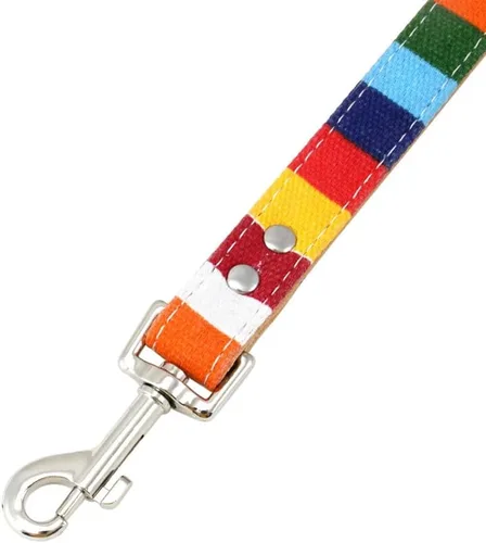 Vista 8 de Collar de perro XS, collar de cuero para perro, juego de correa y collar personalizado, para pequeños, seguro y cómodo (S)