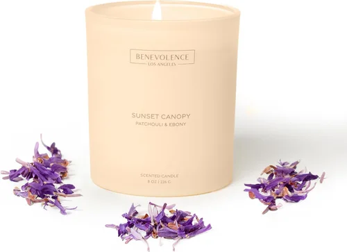 Vista 16 de Vela perfumada de bergamota y jazmín 11 onzas, 60 horas de combustión Cera de soja natural, mecha de algodón Velas perfumadas de soja