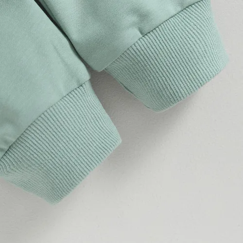 Vista 8 de 2 piezas de sudadera para bebé niño, ropa de bloque de color, manga larga, sudadera con pantalones deportivos para otoño