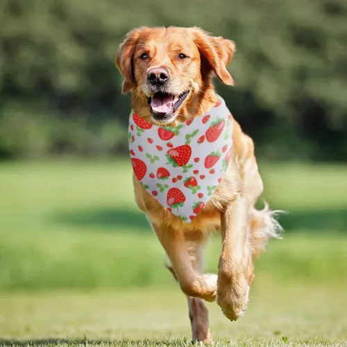 Vista 5 de Weewooday Pañuelo grande para perro, bufanda de verano para perro, bufanda triangular hawaiana, ajustable, lavable, pañuelo para mascotas