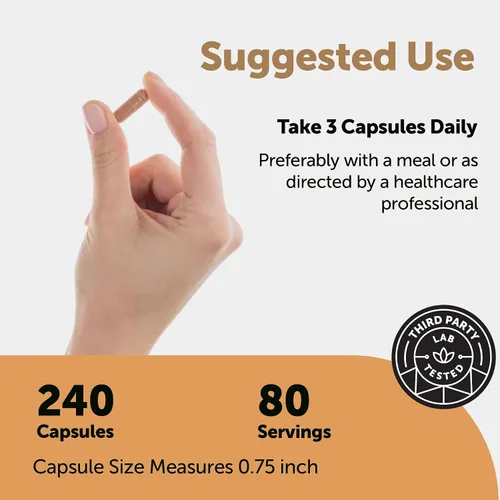 Vista 3 de Micro Ingredients Nattokinase 10,000 FU por porción (extracto natural de natto), 240 cápsulas vegetarianas con CoQ10, cúrcuma, ajo envejecido