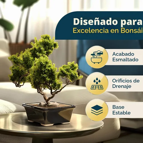 Vista 6 de Maceta para bonsái de cerámica esmaltada, maceta de cerámica para suculentas y plantas pequeñas, maceta rectangular negra perfecta para jardines