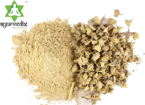 Vista 4 de Gokhshura Gokhru Polvo 200g/7.05oz Frasco rico en antioxidantes I Desintoxicante natural I Sin productos químicos y conservantes Libre de Tribulus